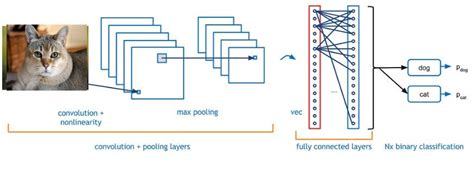 cat deep learning.